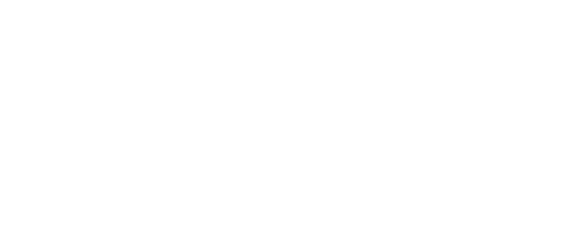 Teldoo - European Logistics Solutions